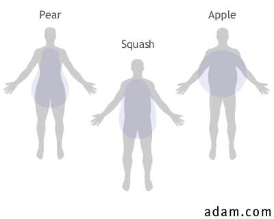 Three Body Types