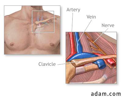 Thoracic outlet anatomy