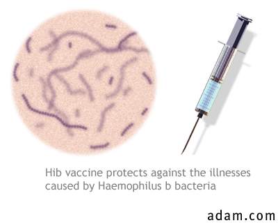 Hib immunization (vaccine)
