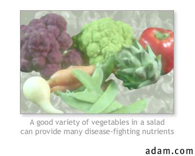 Salad nutrients